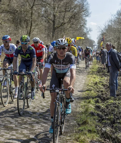 Peleton w lesie Arenberg Paryż Roubaix 2015 — Zdjęcie stockowe