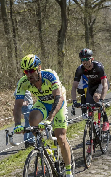 Peloton v lese Arenberg Paříž Roubaix 2015 — Stock fotografie