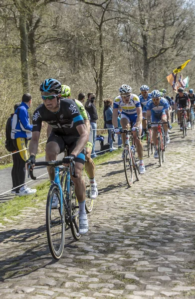 El Pelotón en el Bosque de Arenberg- Paris Roubaix 2015 — Foto de Stock