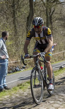 Bisikletçi Reinardt Janse van Rensburg Arenbe orman içinde