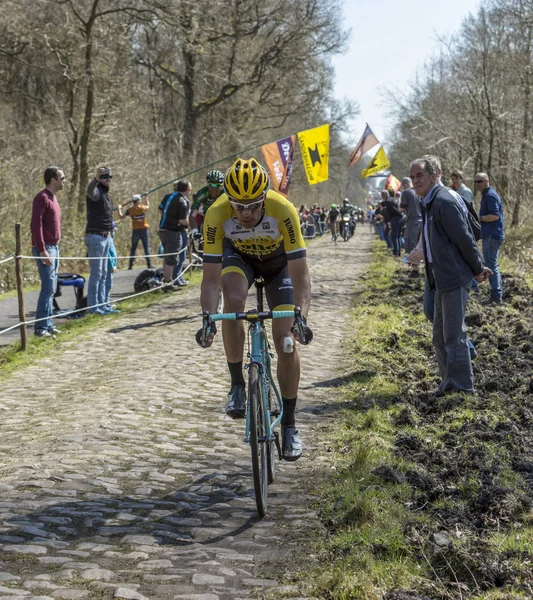 The Cyclist Maarten Wynants in The Forest of Arenberg- Paris Rou — Stock Photo, Image