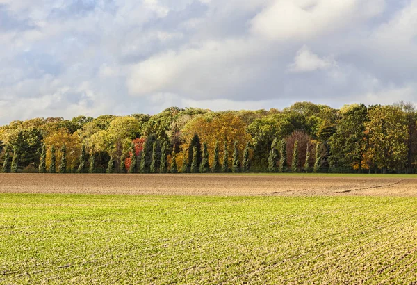 Podzimní Krajiny Lesem Dálce Umístění Beauce Hlavní Zemědělské Oblasti Srdci — Stock fotografie