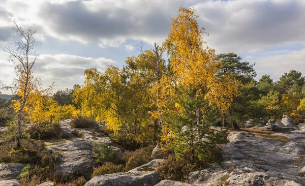 Beuatiful Fall Landscape Fontainebleau Forest Located Far Paris France — Stock Photo, Image