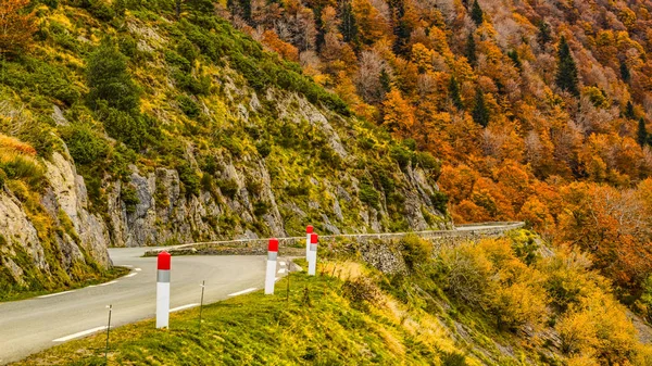 Tie vuorilla syksyllä — kuvapankkivalokuva