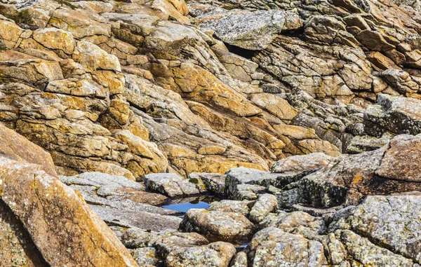 Felsiges Detail an der bretonischen Küste — Stockfoto