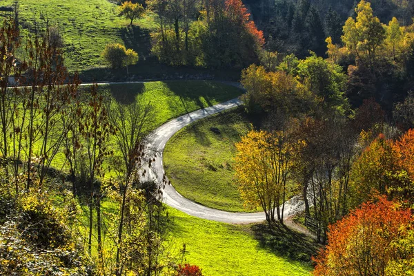 Straße im Herbst — Stockfoto