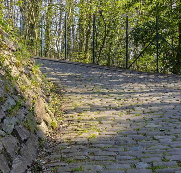 Estrada do cobblestone de Flandres — Fotografia de Stock