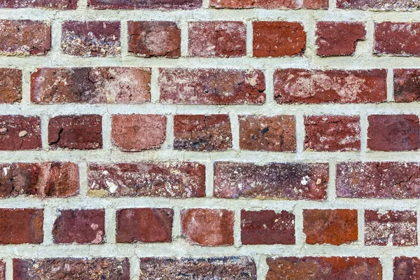 Brick Wall Detail — Stock Photo, Image