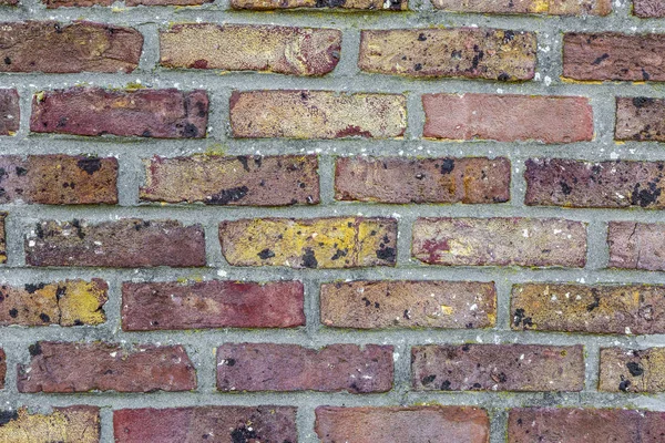 Brick Wall Detail — Stock Photo, Image