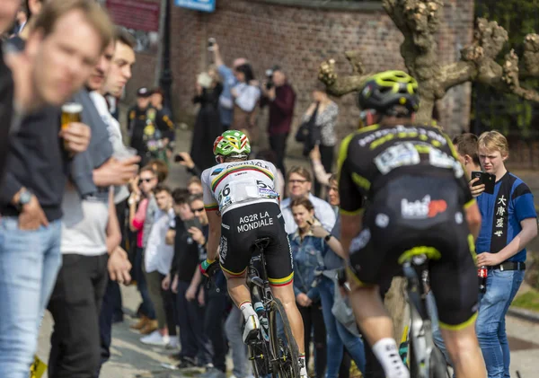 El ciclista Gediminas Bagdonas - Tour de Flandes 2019 — Foto de Stock