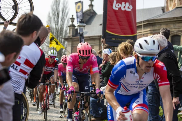 O ciclista Sep Vanmarcke - Tour da Flandres 2019 — Fotografia de Stock