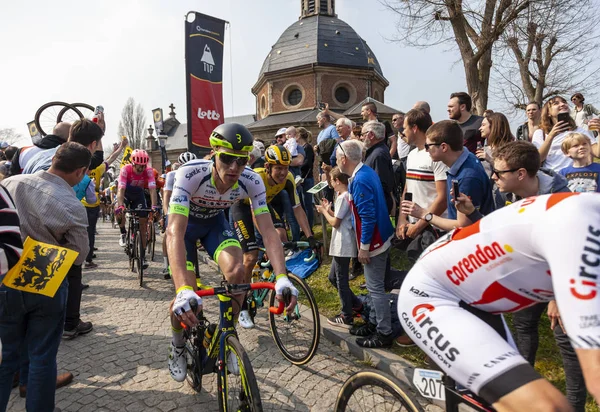Bisikletçi Frederik Backaert - Flanders 2019 Turu — Stok fotoğraf