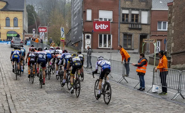 De Jong Oranje Peloton - Ronde van Vlaanderen 2019 — Stockfoto