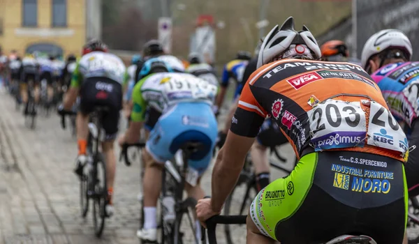 Peloton des Juniors - Tour des Flandres 2019 — Photo