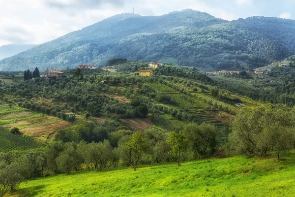 Bela Vista Das Colinas Geen Toscana Durante Uma Manhã Verão — Fotografia de Stock