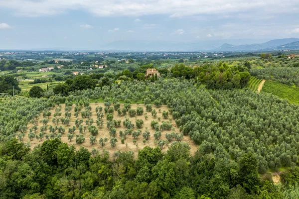 Bela Vista Das Colinas Geen Toscana Durante Uma Manhã Verão — Fotografia de Stock