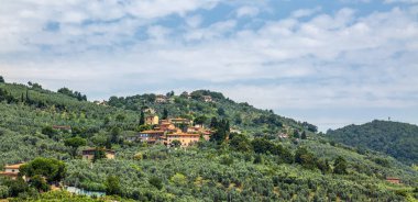 Tuscany tepelerinin güzel manzarası bir yaz sabahı boyunca.