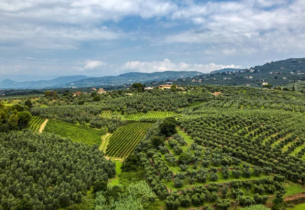 Bela Vista Das Colinas Geen Toscana Durante Uma Manhã Verão — Fotografia de Stock