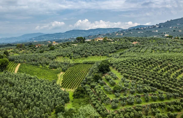 Bela Vista Das Colinas Geen Toscana Durante Uma Manhã Verão — Fotografia de Stock