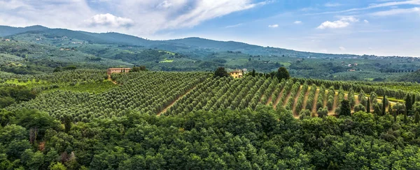 Bela Vista Das Colinas Geen Toscana Durante Uma Manhã Verão — Fotografia de Stock