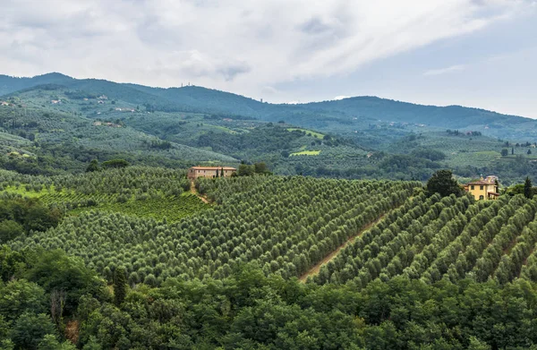 Bela Vista Das Colinas Geen Toscana Durante Uma Manhã Verão — Fotografia de Stock