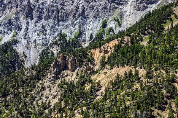 Detail Steep Rocky Wall Green Fir Trees French Alps Close — Stock Photo, Image