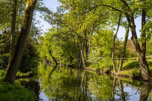 Зеленый Ландшафт Реке Центральной Франции — стоковое фото