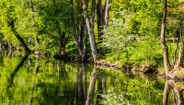 中央フランスのユーレ川の美しい緑の風景 — ストック写真