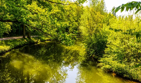 Зеленый Ландшафт Реке Центральной Франции — стоковое фото