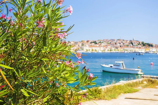 Bota Atracada Cais Madeira Porto Cidade Losinj Croácia — Fotografia de Stock