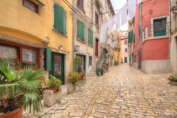 Rovinj Mimarisi Rovigno Istria Hırvatistan — Stok fotoğraf