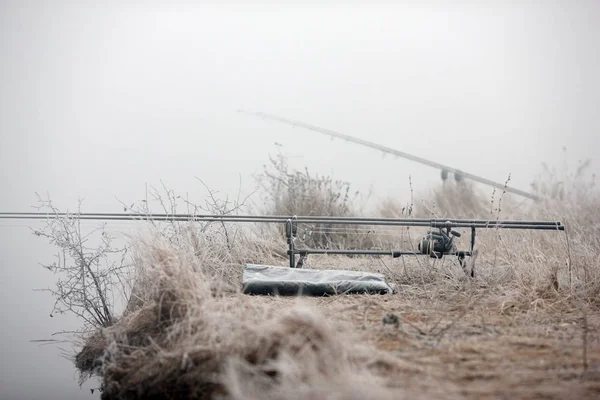 Sazan balıkçılık çubuklar göle rafları