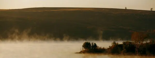 Bir arka plan ağaç dağlarda erken sisli peyzaj — Stok fotoğraf