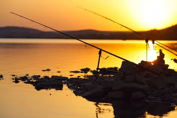 Varas de pesca no lago — Fotografia de Stock