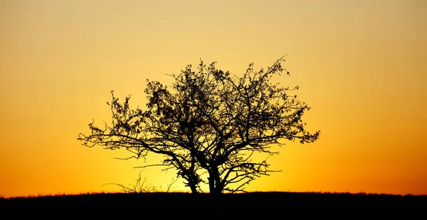 Sunrise Sunrise Mountains — Stock Photo, Image