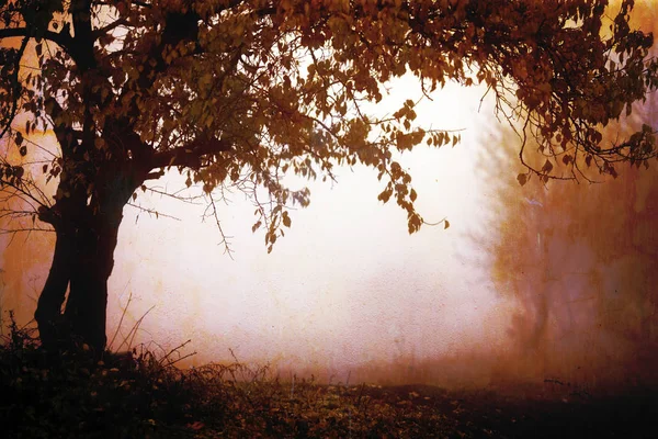 Autumn Landscape Fog Wildlife Retro Style — Stock Photo, Image