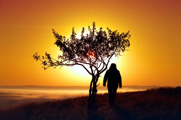 Uma Menina Amanhecer Nas Montanhas Perto Uma Árvore Contra Pano — Fotografia de Stock