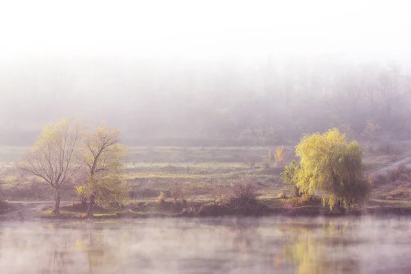 Autumn Landscape Pond Foggy Morning — ストック写真