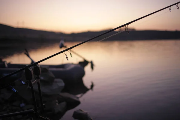 Pesca Carpa Com Varas Pesca Lago — Fotografia de Stock