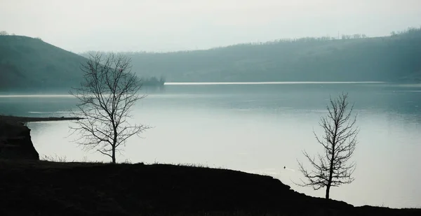Mystical Foggy Morning Forest Lake — Stock Photo, Image