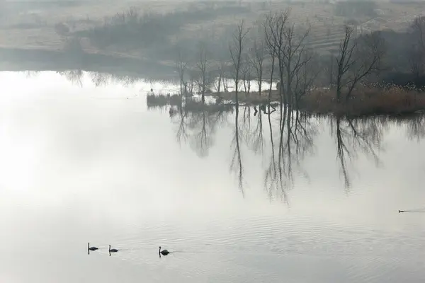 Early Foggy Morning Lake — Stock Photo, Image