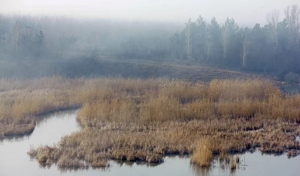 Lago Nella Nebbia Mattino Presto — Foto Stock