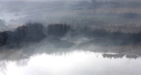 朝早く霧の中の湖で — ストック写真
