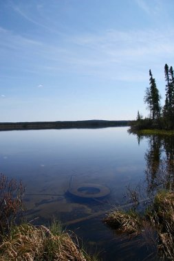 Güzel göl manzarası
