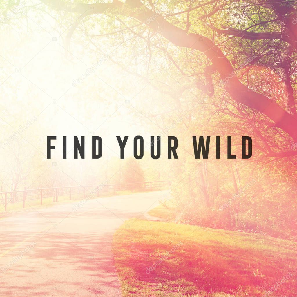 phrase find your wild 