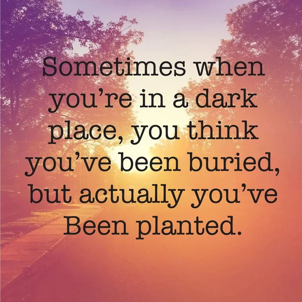 Sometimes when you're in a dark place, you think you've been buried, but actually you've been planted. 图库照片