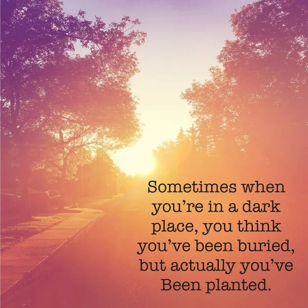 Sometimes when youre in a dark place, you think youve been buried, but actually youve been planted. 免版税图库图片