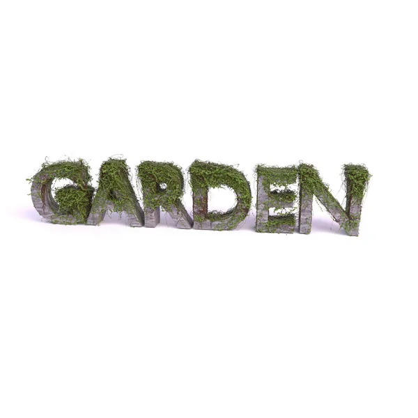 3D render ivy tekst tuin icolated — Stockfoto