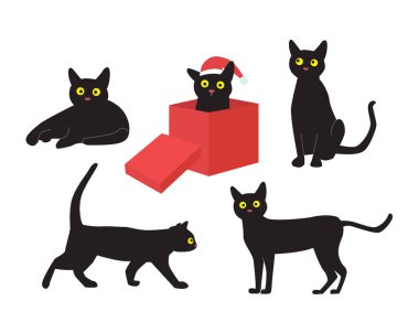 Bir kırmızı bir kutu içinde oturan santa şapka ile siyah kedi