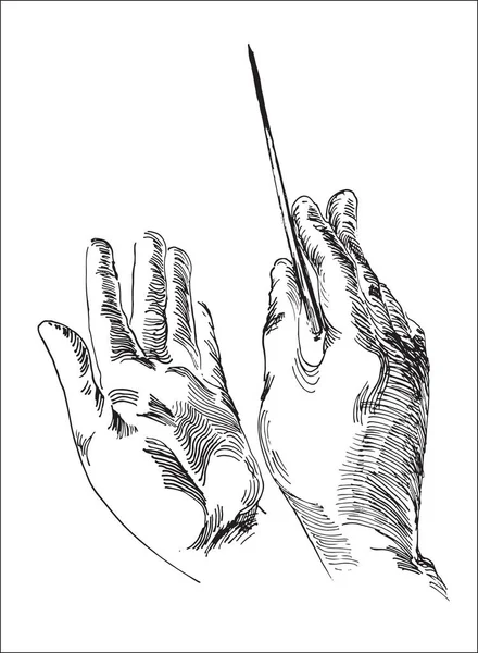 Human hand holding conductor's baton — Stock Vector